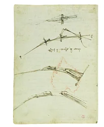 Codex über den Vogelflug, Folio 11 verso